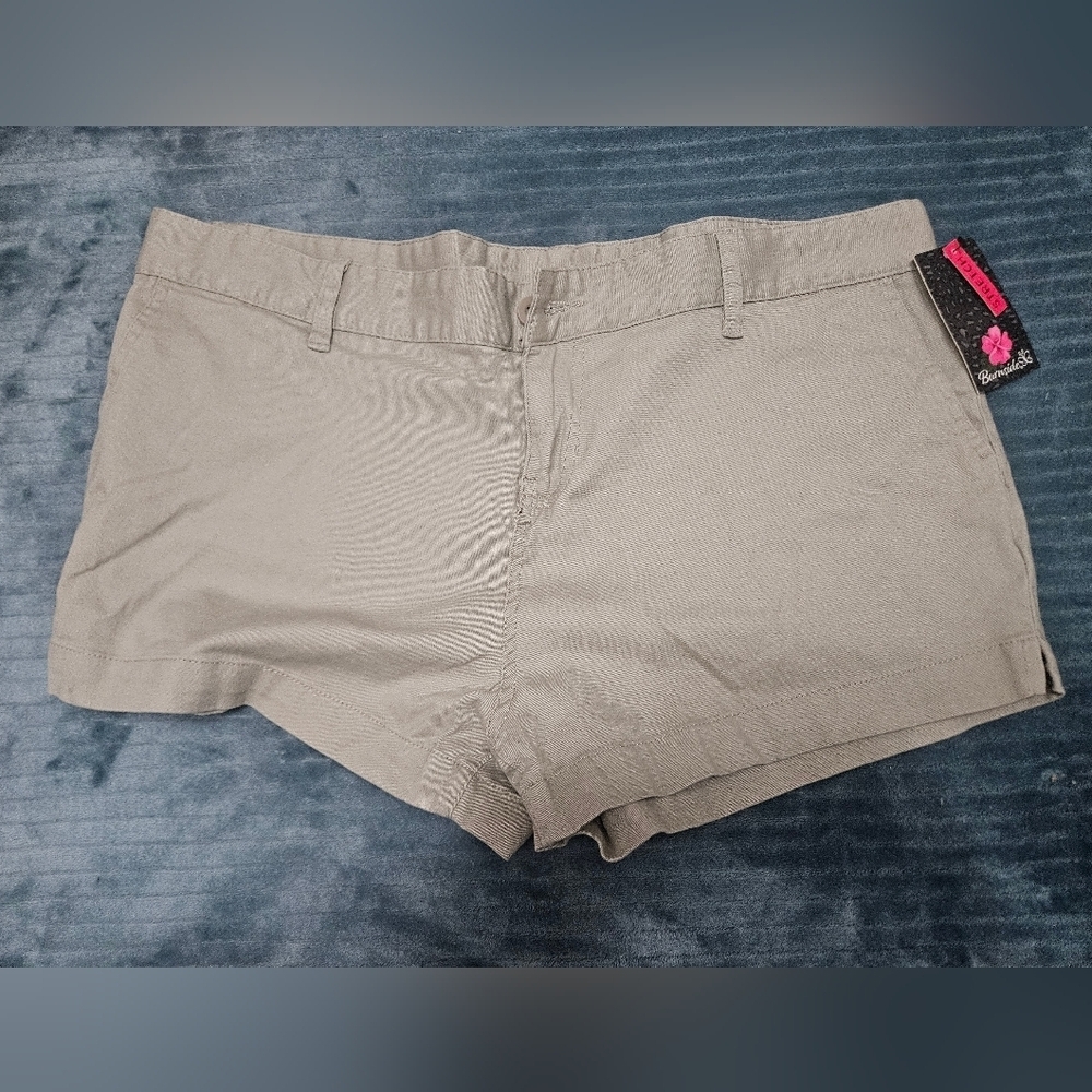 NWT! Burnside Light Gray Shorts!